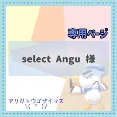 select Angu様 リクエスト 5点 まとめ商品