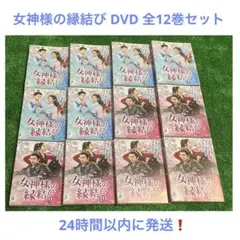 女神様の縁結び　DVD 全12巻セット　中国ドラマ