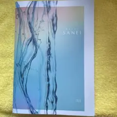 SANEI 2025