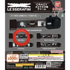 LE SSERAFIM CRAZY カメラネガ風 宮脇咲良