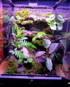 2025年最新】グラステラリウム 3045の人気アイテム - メルカリ