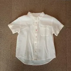 INSECT COLLECTION ホワイトシャツ 100 110