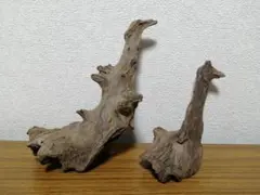 天然流木 2点セット アクアリウム 水槽 レイアウト