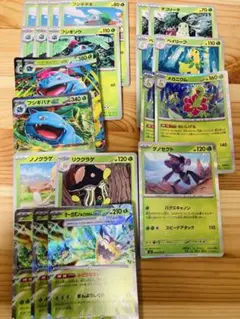 メガフシギバナex オーガポンみどりのめんex デッキパーツ