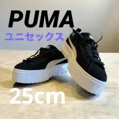 Item thumbnail for item 34dd4b37-8ebb-4ccc-9d2e-0afc1eb52530