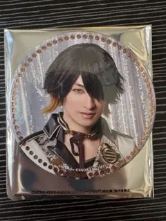 十周年 缶バッジ 長曽祢