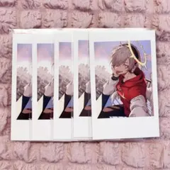 crazy raccoon CR だるまいずごっど セルフィーカード 1