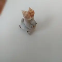 うさぎ 置物
