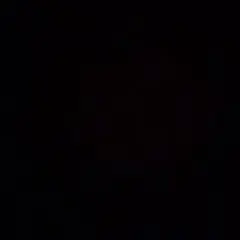 【てつ様専用】