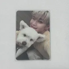 ZEROBASEONE ZB1 キムテレ トレカ レオ 犬