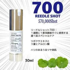700 リードルショット