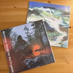 bialystocks LP 3枚セット bialystocks LP 3枚セット bialystocks LP 3枚セット Amazon.co.jp: ビ