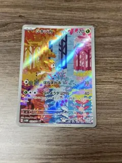 シキジカ AR 1枚