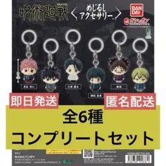 呪術廻戦 死滅回遊 めじるしアクセサリー コンプリート
