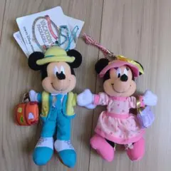 【新品タグ付き】バケーションパッケージ限定　ミッキーミニーぬいぐるみ