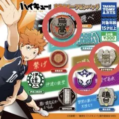ハイキュー 高校モチーフピンバッジ