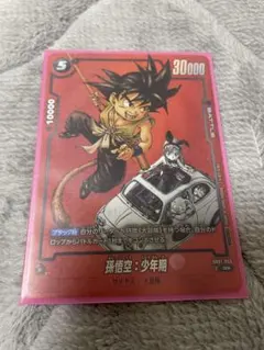 孫悟空:少年期　リミテッドパック