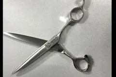 Item thumbnail for item c592392e-e0eb-468e-8f8d-a8d6ffcf9867