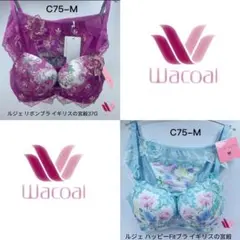 ごんた様 リクエスト 2点 まとめ商品