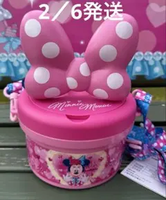 ミニーのファンダーランド　ポップコーンバケット