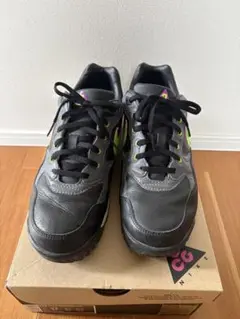 NIKE AIR WILDWOOD ACG