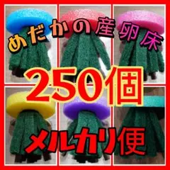 M ami様専用】メダカ産卵床250個 - メルカリ