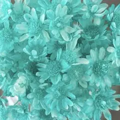 ゆっきー⁑プロフ更新⁑様 リクエスト 3点 まとめ商品