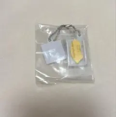 クーチャン様専用　ユーハイム　ミニチュアダブルスイングアクセサリー　ガチャ