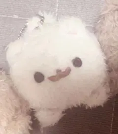 ねこさん専用♫