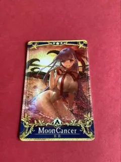 宮本武蔵 水着 フェイタル ホロ fgo アーケード - メルカリ