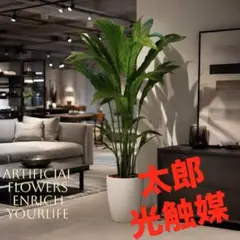 光触媒 人工観葉植物 ウォールグリーン フェイクグリーン モンステラ