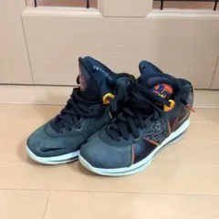 Item thumbnail for item 1558add4-66c0-4827-b740-74790ab00b30