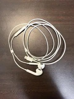 Apple ear pods lightning端子