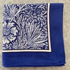 Item thumbnail for item 8da53c49-cf66-4fa8-88a5-82c0fd758a09