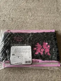 【入手困難】ミッキーマウス＆ミニーマウス 新品・収納BOX