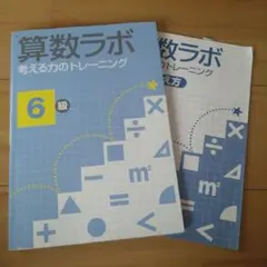 算数ラボ 考える力のトレーニング 6級