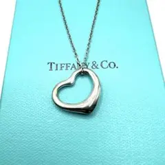 2026年最新】tiffany＆co． ティファニー エルサ ペレッティ オープン