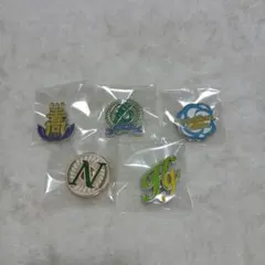 ハイキュー　ピンズ　スクールアイコンB　5点