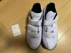 Item thumbnail for item ddafb9bd-24ab-4173-83d9-22c768ea434b