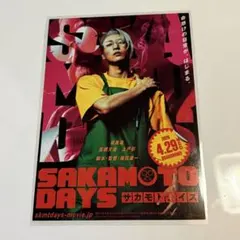 目黒蓮 ラミネート加工済 サカモトデイズ フライヤー★SnowMan めめ