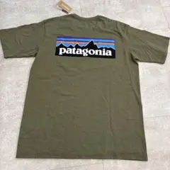 希少2点】信越五岳Patagonia・斑尾高原Tシャツ - メルカリ