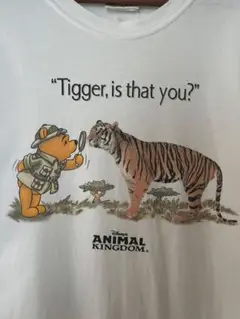 ディズニー ヴィンテージ アニマルキングダム プー Tシャツ Lサイズ 90s