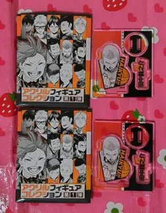 ハイキュー!! アクリルフィギュアコレクション 第1弾 田中龍之介 2点セット