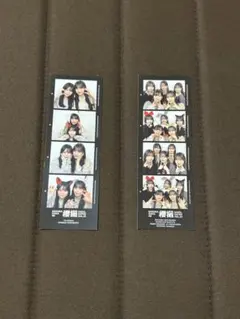 櫻坂46 櫻撮 アザーカット写真集応募券、付録プリカード Eセット