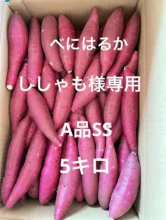 ししゃも様専用　A品SS ５５キロのサムネイル