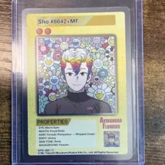 Akihabara Flowers Mr. #9703+MF Card - メルカリ