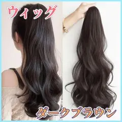 35cm ポニーテール ダークブラウン エクステ ウィッグ クリップ 自然ロング