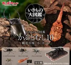 いきものの大図鑑 かぶとむし10 コンプリートセット　オンライン限定版