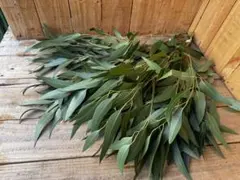 みどりいろ様 リクエスト 5点 まとめ商品