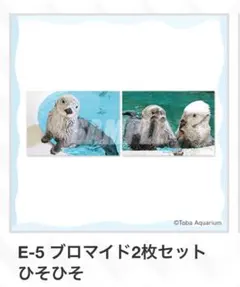 かまぼこかにたま様 リクエスト 4点 まとめ商品